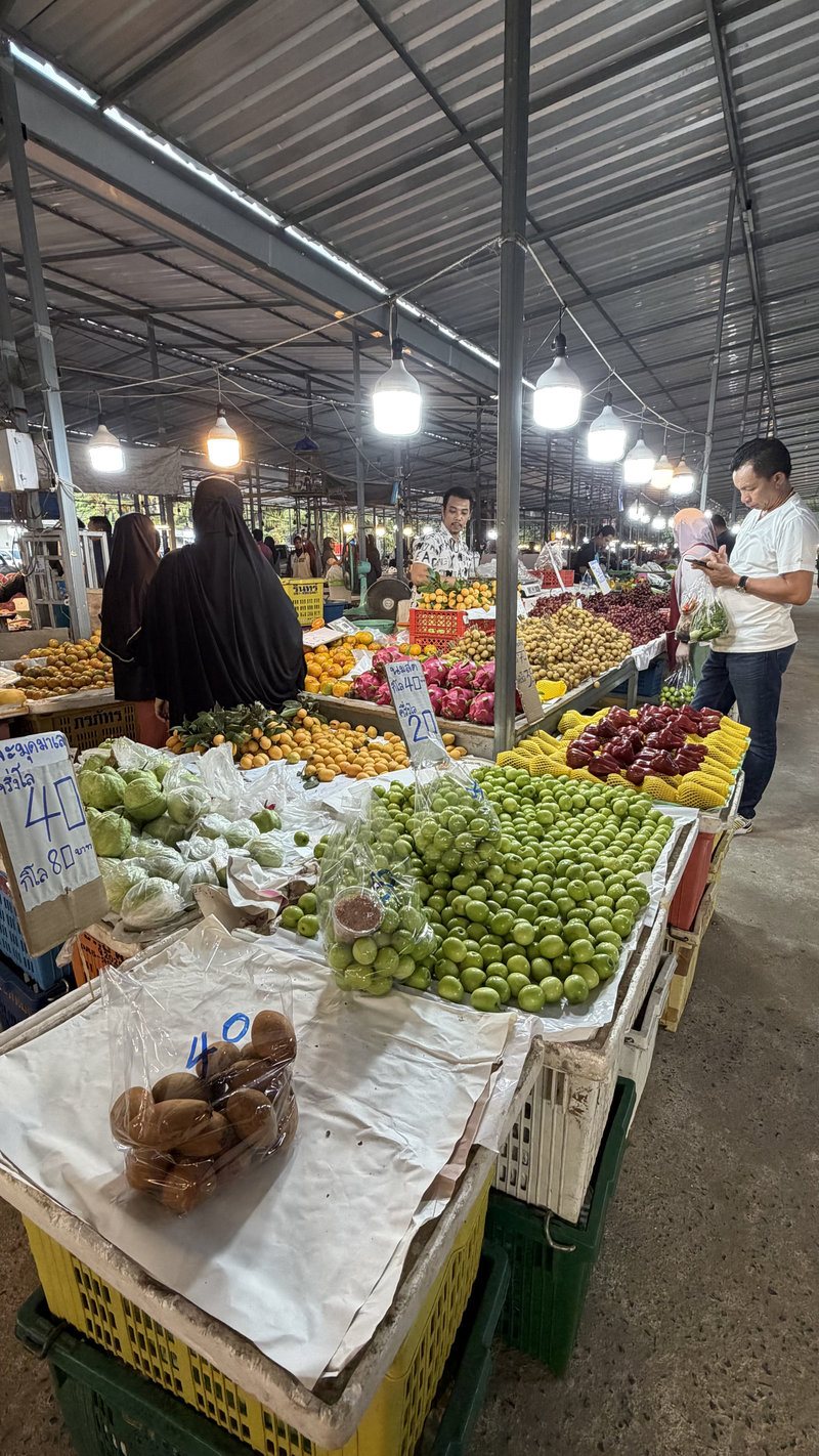 Life in Krabi - local neighborhood and nature