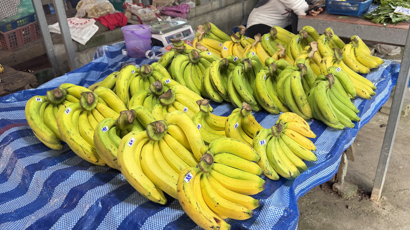 Life in Krabi - local neighborhood and nature