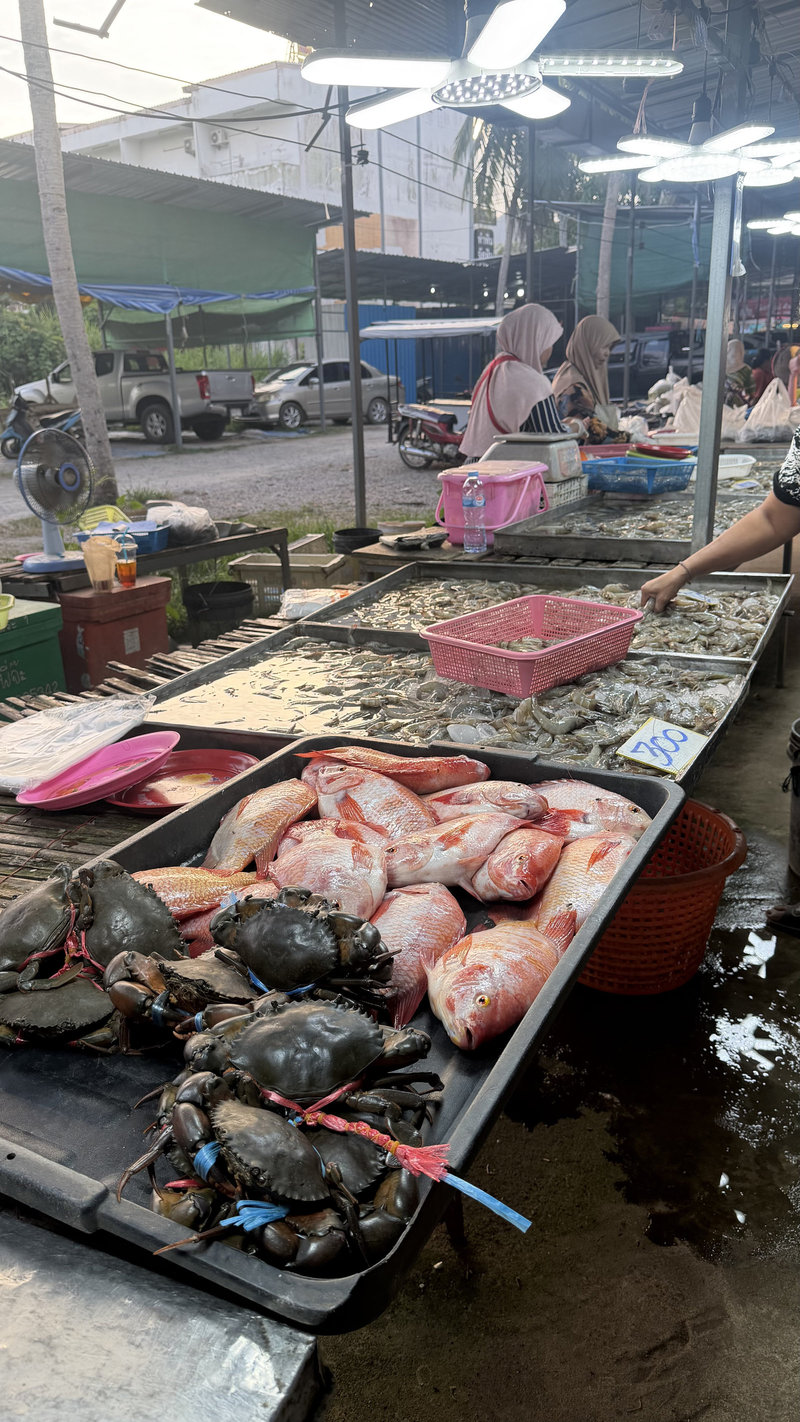 Life in Krabi - local neighborhood and nature